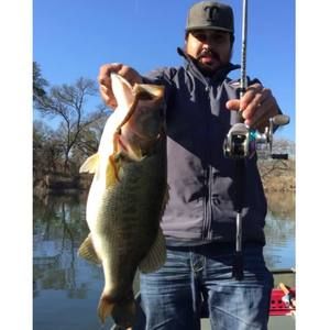 Meet your Posher, Josh